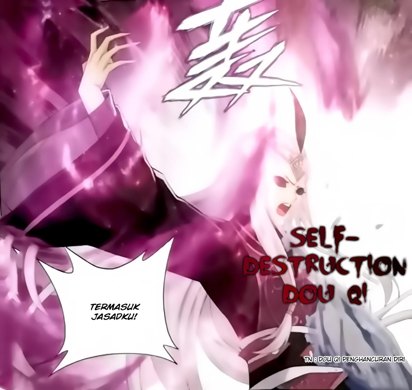 Battle Through the Heavens Chapter 250 halaman 11